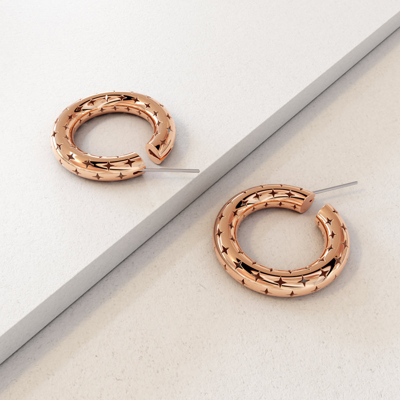 LARYA ÉCLAT - ÉCLAT hoop earrings